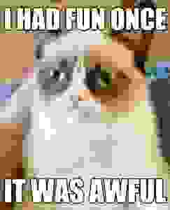 Tard the Grumpy Cat meme I have fun once it was awful