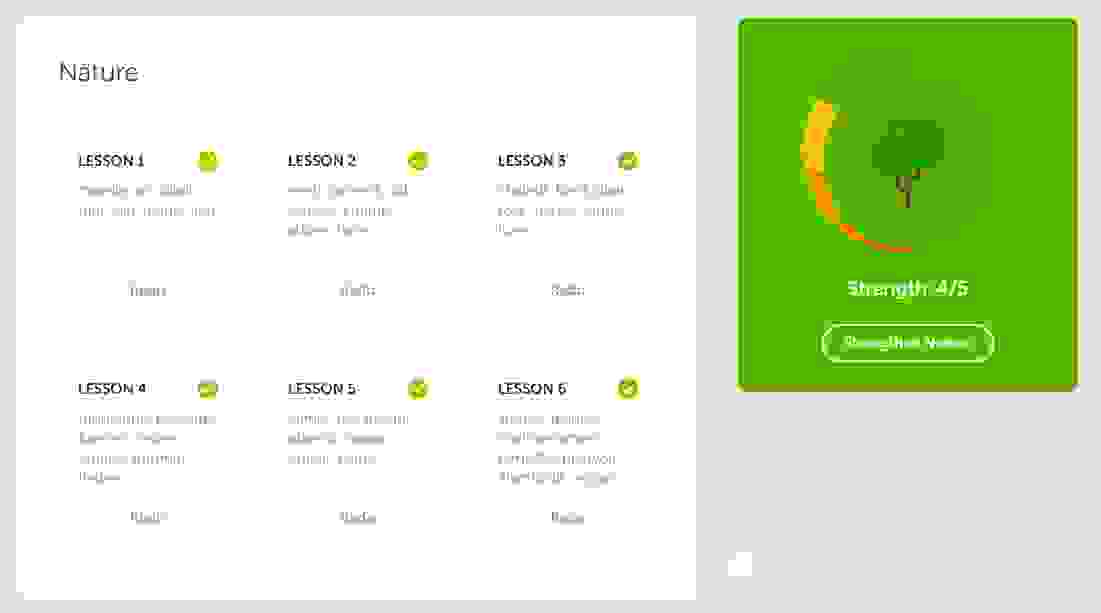 Duolingo lesson subdivisions