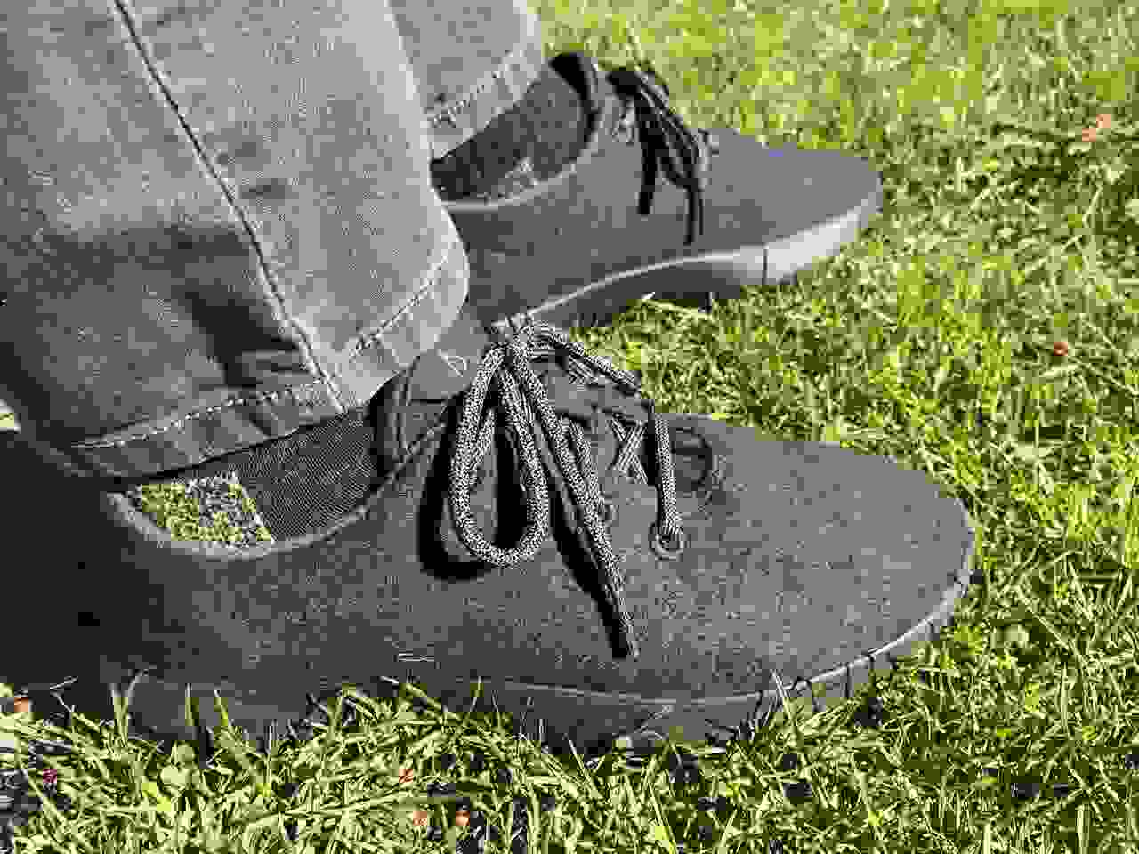 Allbirds lounging in the grass