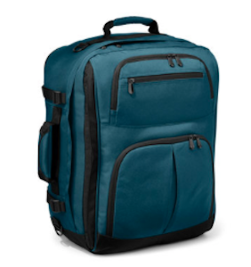 Rick Steves Convertible Carry-on, blue