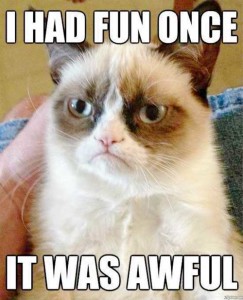 Tard the Grumpy Cat meme I have fun once it was awful
