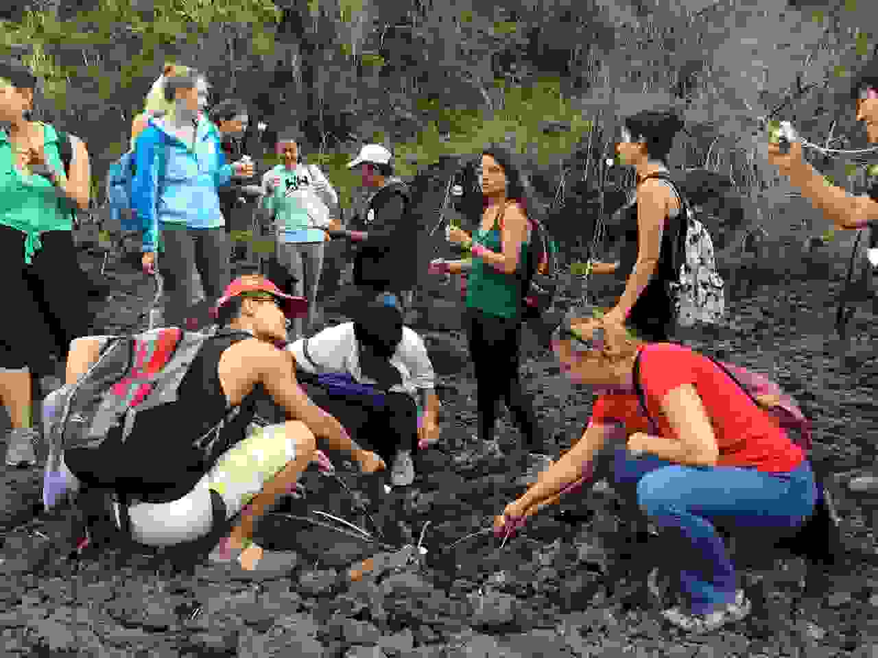 Marshmallow roasting on Pacaya Volcano