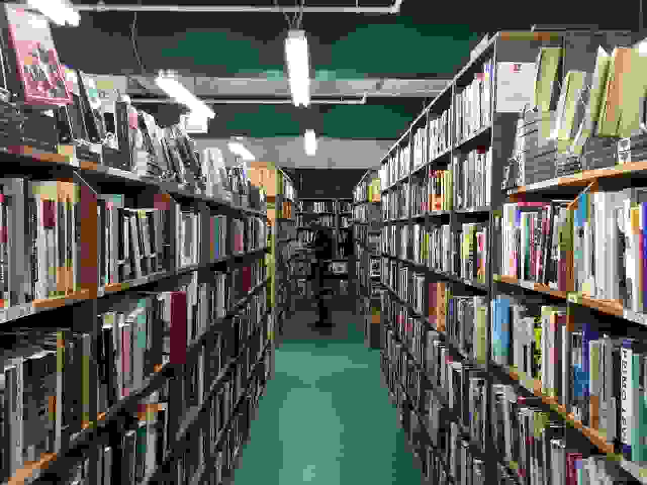 kindle bookstore