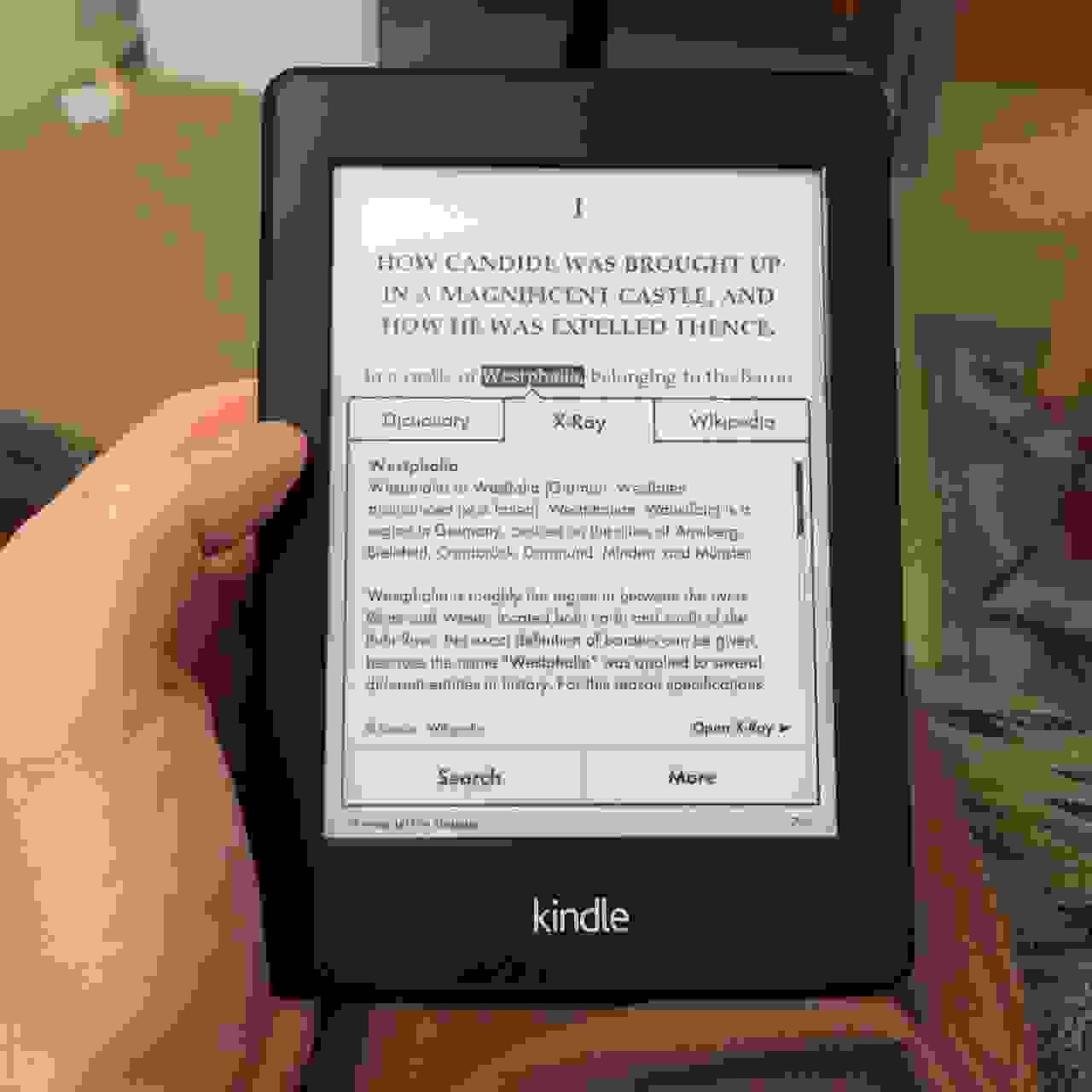 Kindle dictionary