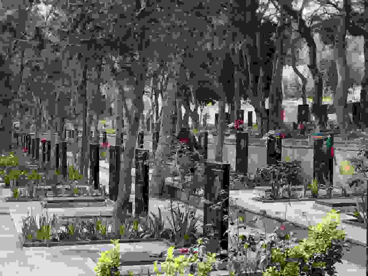 Martyr's Alley Garden