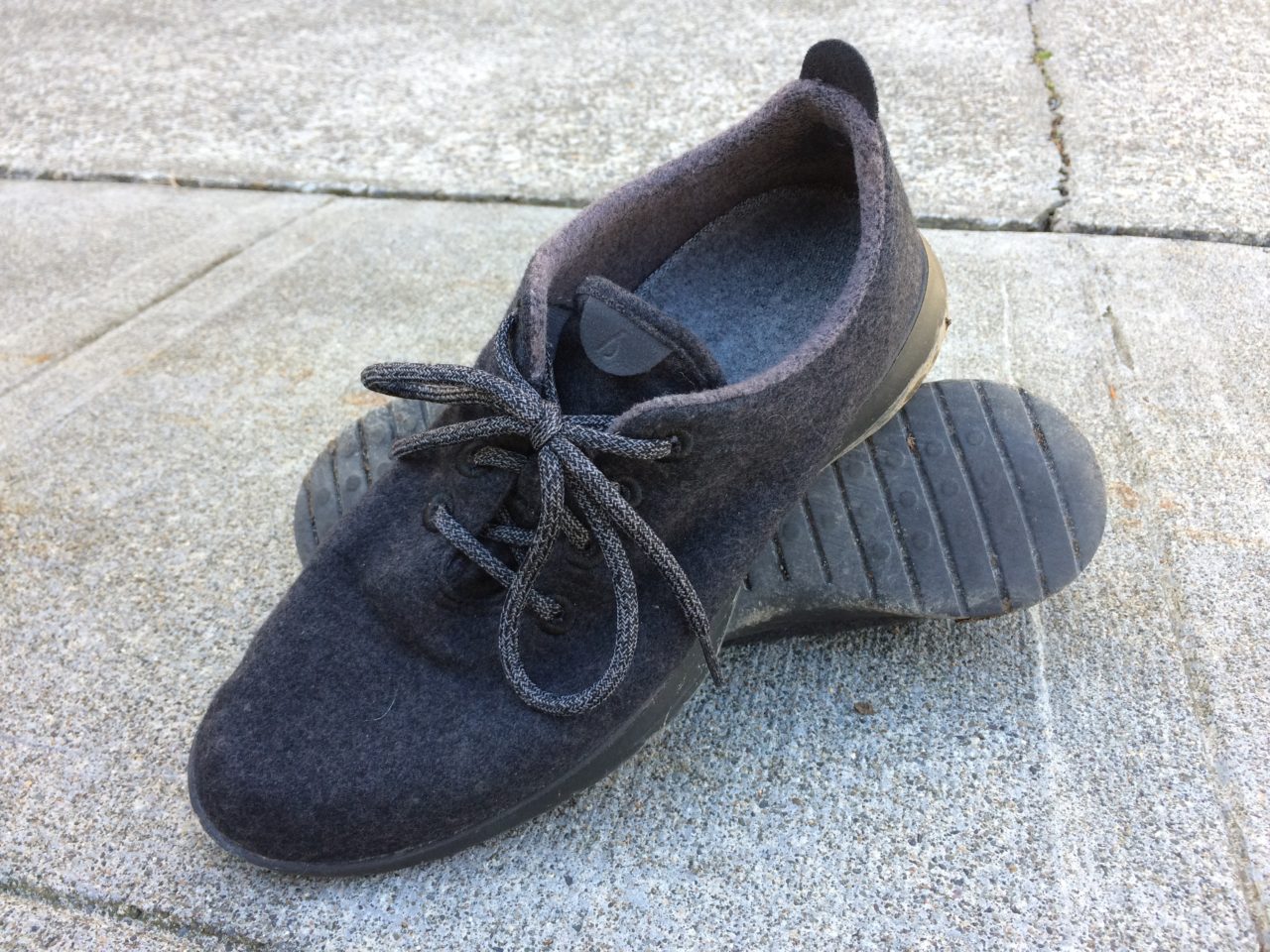 allbirds wool sneakers