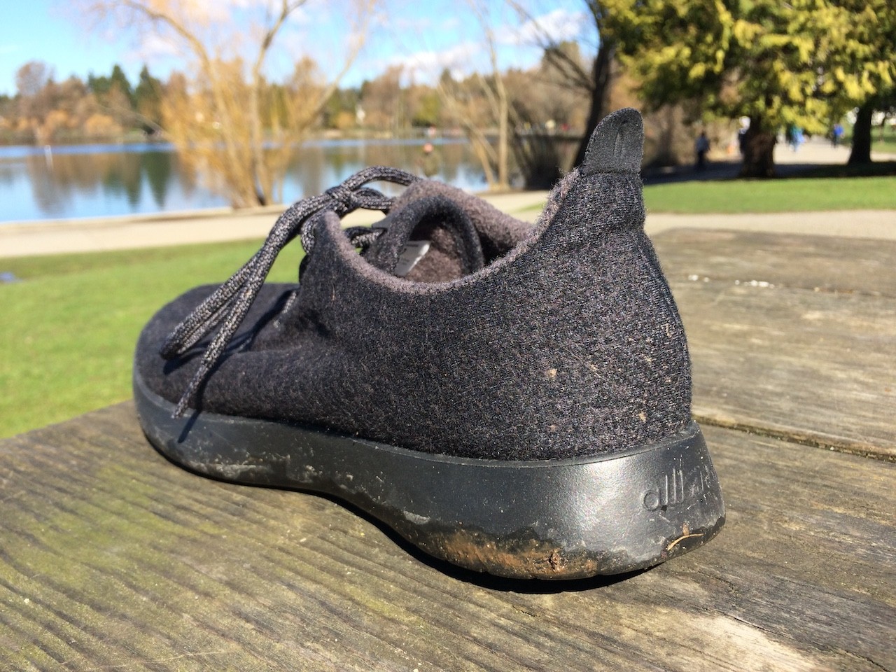 allbirds shoes arch support