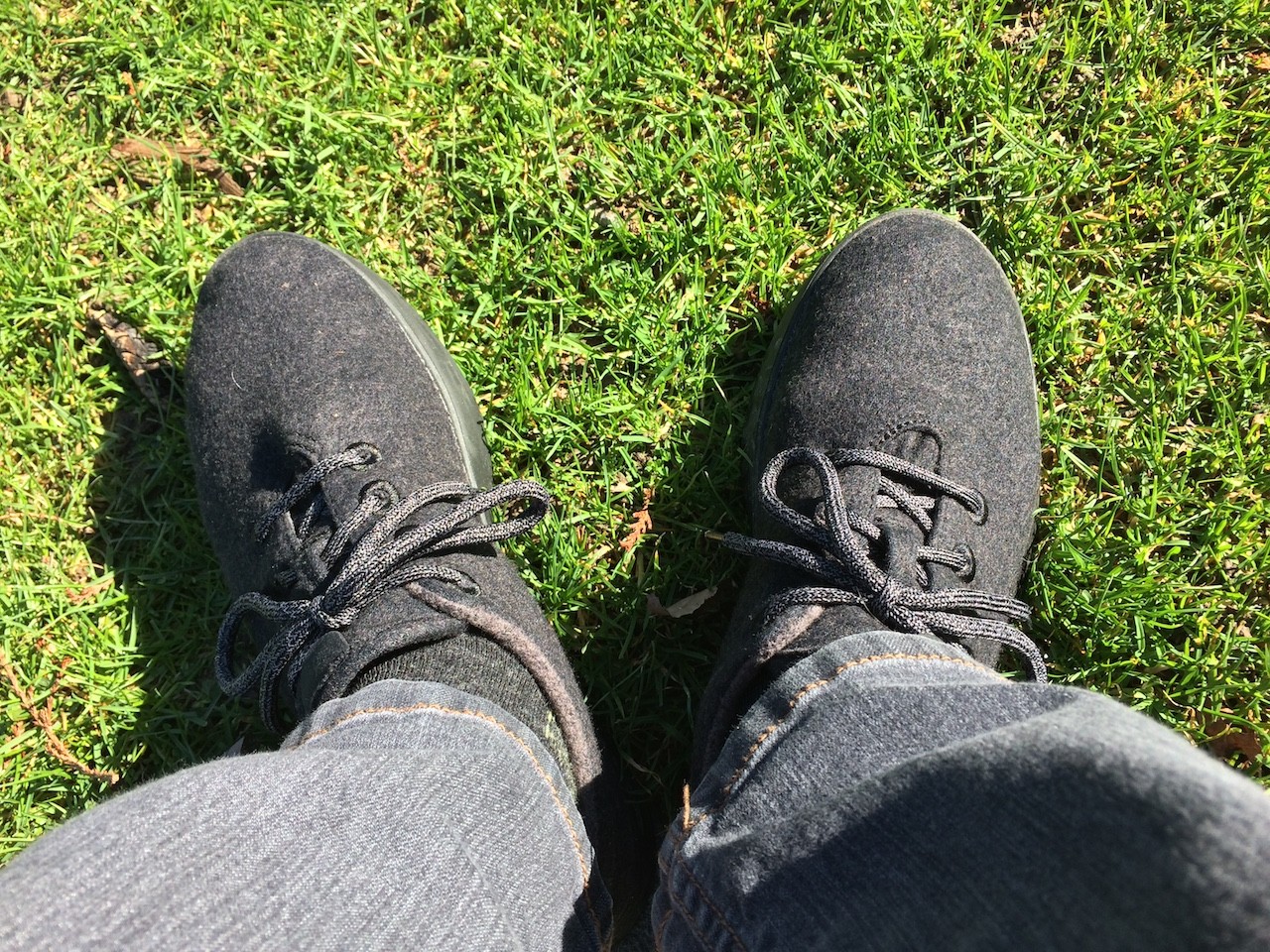 Allbirds Wool Runners: The best shoes ever? – Snarky Nomad