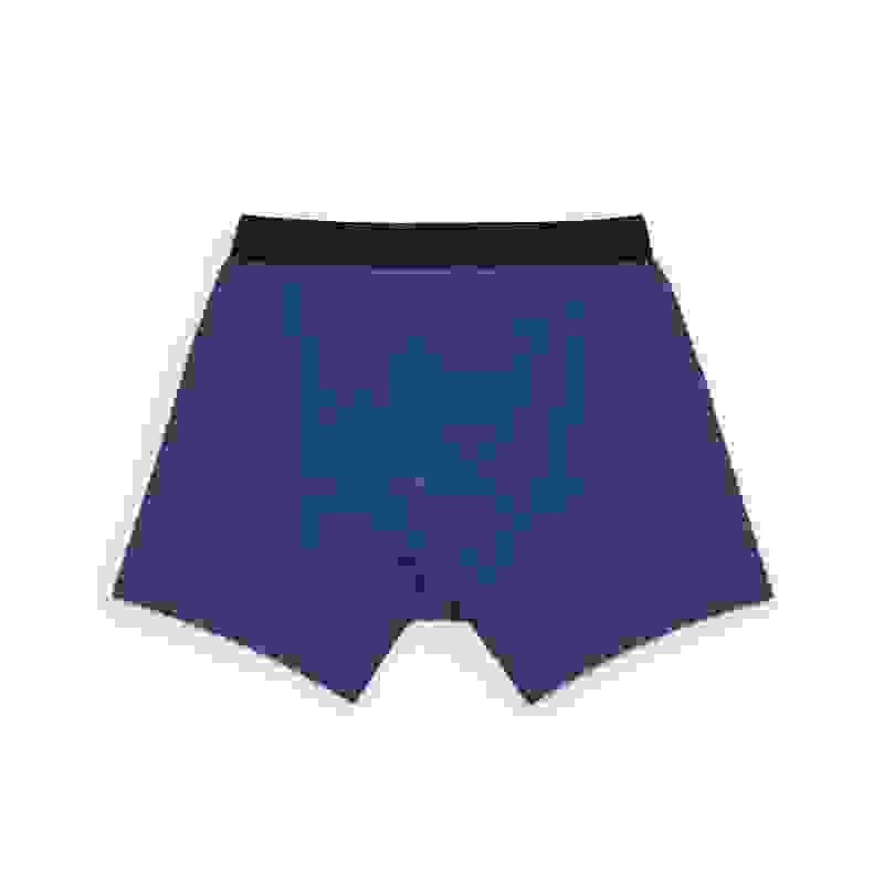 Wool and Prince boxer brief back